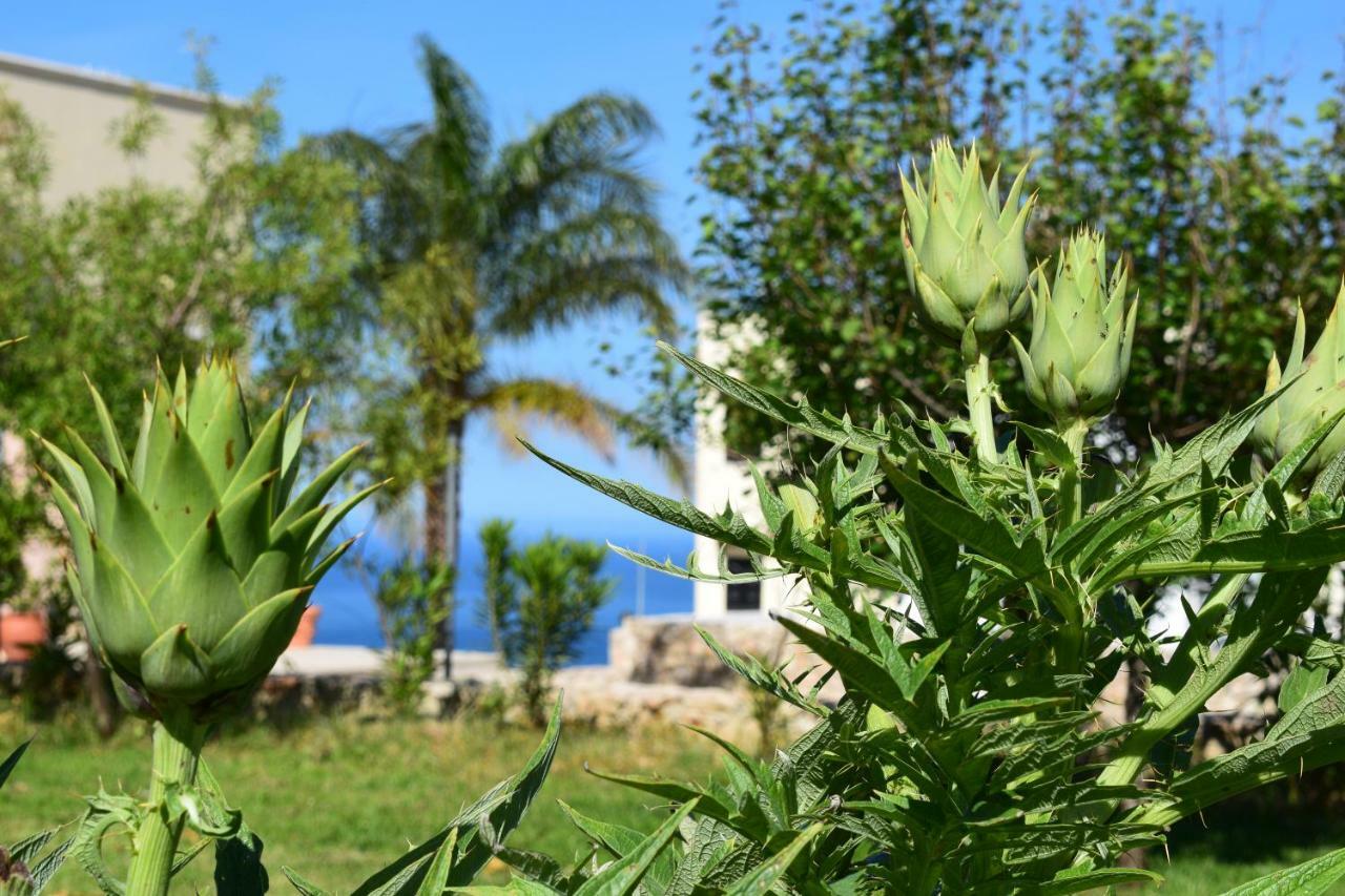 Anna'S Stone House Villa Megala Chorafia Buitenkant foto